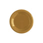 Plato Redondo Deluxe Dorado 6" (15 cm) x10 unidades Sempertex